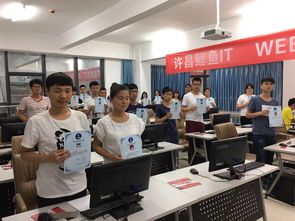 代碼中的藝術(shù) 當(dāng)編程邂逅匠心——許昌鯉魚IT的計算機(jī)技術(shù)培訓(xùn)之道